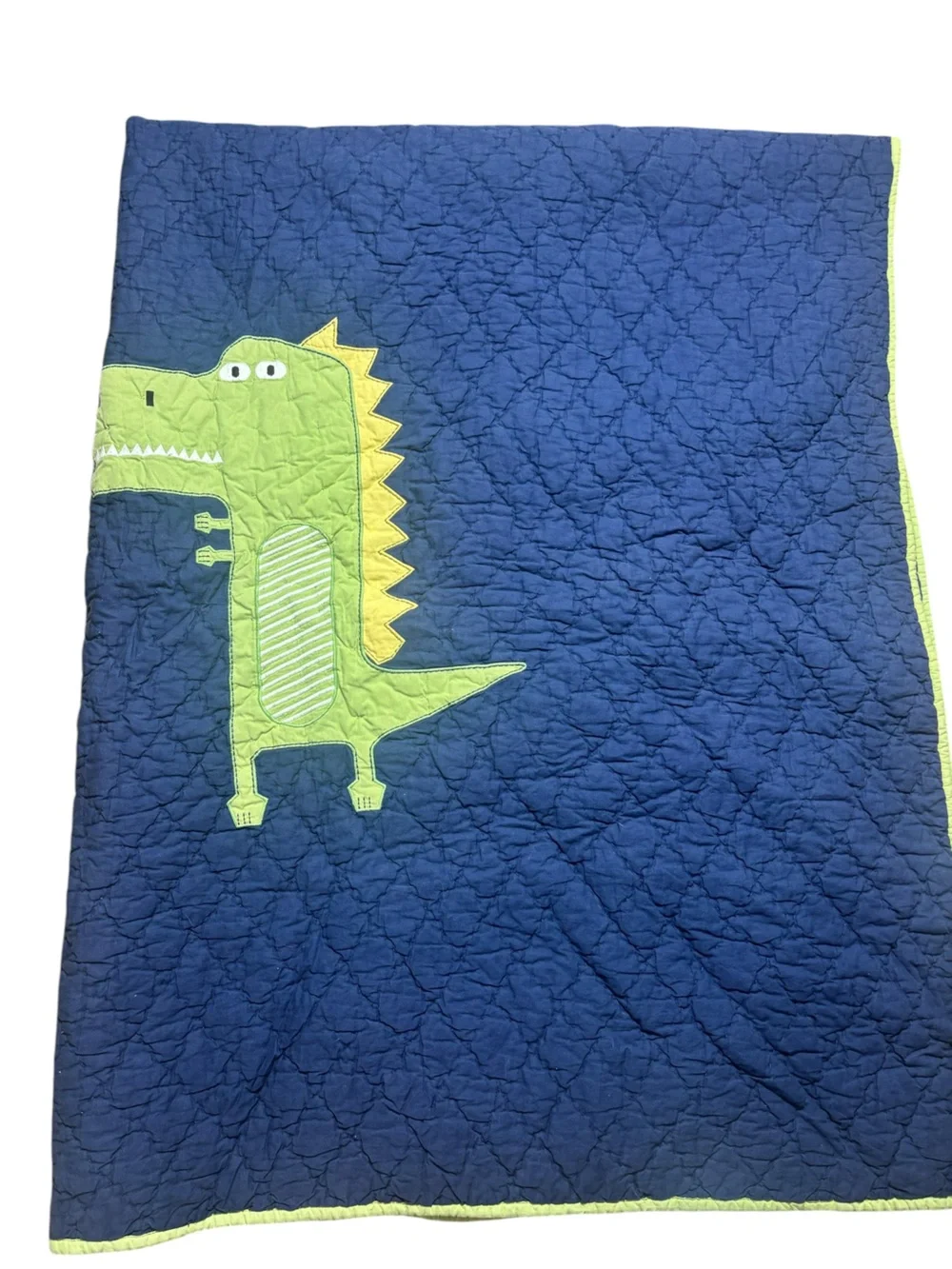 Pottery barn kids 100% cotton dinosaur‎ quilt twin/twin xl and sham